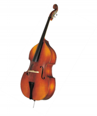 17_AcousticBass2.png